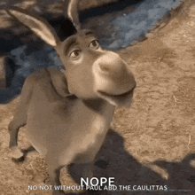a donkey from shrek says nope no not without paul and the caulitias