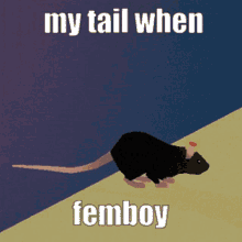 Femboy Rat GIF - Femboy Rat Rattin GIFs