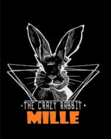 Mille Lepoissonrouge GIF - Mille Lepoissonrouge Crazy Rabbit GIFs