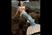 Morph Mermaid GIF - Morph Mermaid GIFs