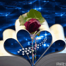 Love Rose GIF - Love Rose Book GIFs