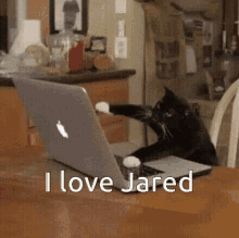 I Love Jared Jared GIF - I Love Jared Jared GIFs