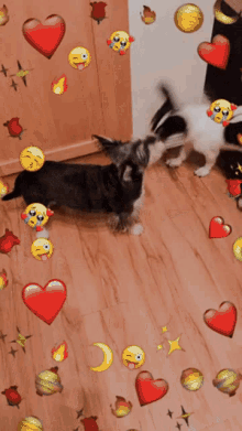 Dogs Fight GIF - Dogs Fight Play GIFs