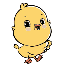 canticos chickie chickies baby chick baby chicks