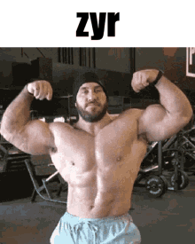 Zyr Muscle GIF - Zyr Muscle Discord GIFs