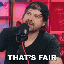 That'S Fair The Dickeydines Show GIF - That'S Fair The Dickeydines Show Absolutely Fair GIFs