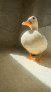 Duck Super Cool Awesome Duck GIF