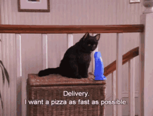 Pizza GIF - Delivery Pizza Delivery Pizza GIFs