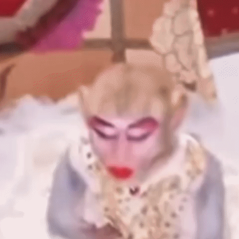 Monkey Makeup GIF Monkey makeup Discover Share GIFs