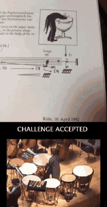 Orchestra Drums GIF - Orchestra Drums Band GIFs