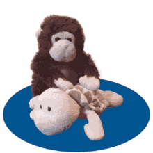 Massage Monkey GIF - Massage Monkey Cute GIFs