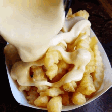 Cheese Fries Fries GIF - Cheese Fries Fries Food GIFs