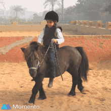 Ekram Rokia Mahmoud Horse Riding GIF - Ekram Rokia Mahmoud Horse Riding Pony GIFs