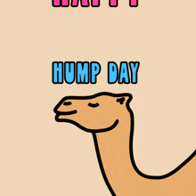 Happy Hump Day Wednesday Is Hump Day GIF