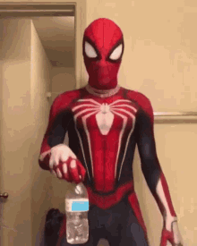 Spiderman Fornite GIF - Spiderman Fornite Dance GIFs