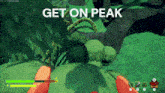 a screenshot of a video game with the words get on peak