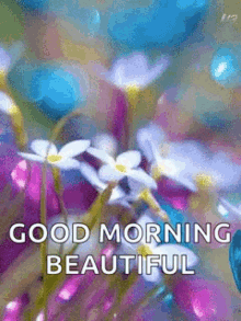 Good Morning Beautiful GIF - Good Morning Beautiful Flowers GIFs