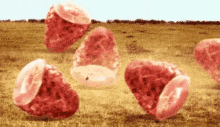GIF