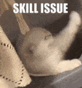 Cat Skill Issue GIF - Cat Skill Issue GIFs