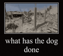 What The Dog Doin Dogs GIF - What The Dog Doin Dogs Funny GIFs