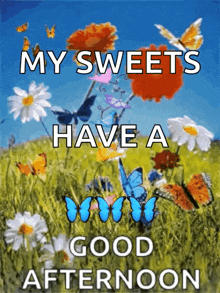 a picture of butterflies and flowers with the words " my sweets have a good afternoon "