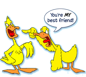 Best Friend Duck Sticker - Best Friend Duck Scold Stickers