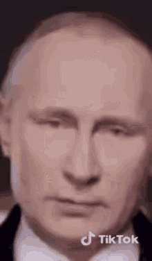 Putin Stivensonj GIF - Putin Stivensonj GIFs
