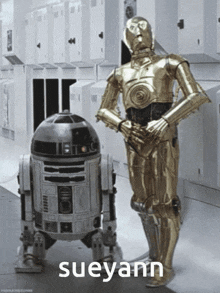 two robots are standing next to each other and the word sueyann is on the bottom