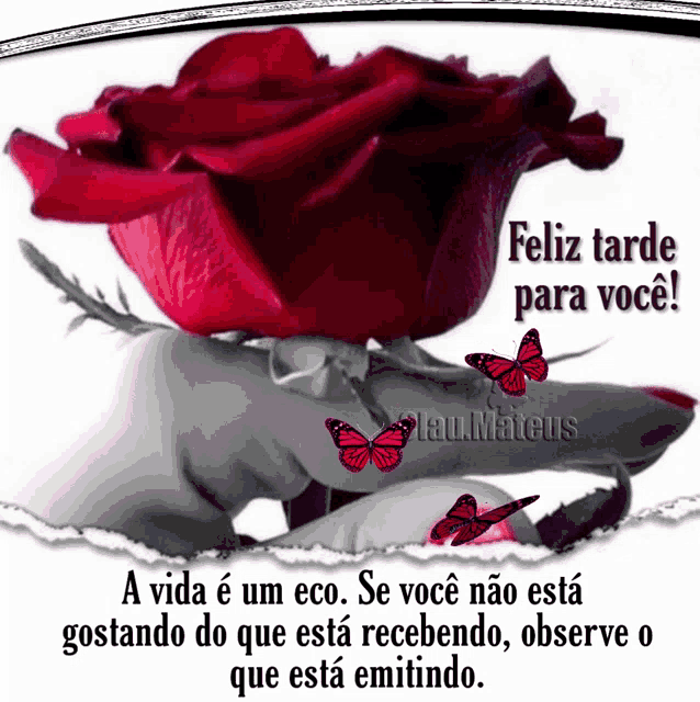boa-tarde-feliz-tarde-para-voce.gif