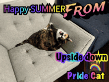 a cat laying on its back on a couch with the words happy summer from upside down pride cat below it