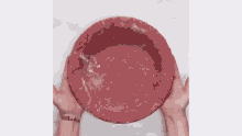 a person is holding a pie crust in their hands that is red .