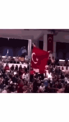 Turkish Flag Guy GIF - Turkish Flag Guy GIFs