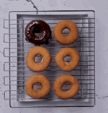 doughnut chocolate doughnut 6pieces doughnut homemade gobble