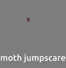 Moth Jumpscare GIF - Moth Jumpscare Silas GIFs
