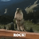 a ground squirrel standing on its hind legs with the words rock written below it