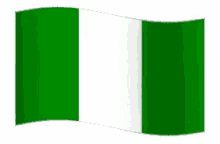 Nigerianflag GIF - Nigerianflag GIFs