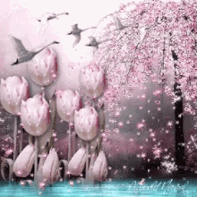 Spring Flowers GIF - Spring Flowers Tulips GIFs