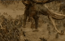 a large elephant is surrounded by soldiers in a battle scene