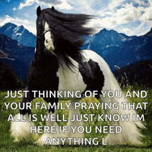 a black and white horse with mountains in the background and a quote about praying