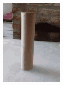 a toilet paper roll is sitting on a table