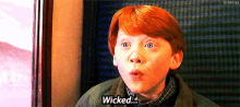 Ron Weasley Harrypotter GIF - Ron Weasley Harrypotter Wicked GIFs