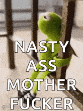kermit the frog is sitting on a railing with the words `` nasty ass mother fucker '' written above him .