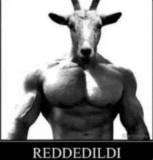 Keçi Reddi Goat GIF - Keçi Reddi Goat Rejection GIFs