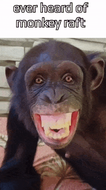 Monkey Funny GIF