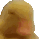 a close up of a person 's face with a yellow background .