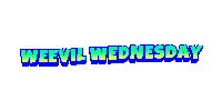Weevil Wednesday Sticker - Weevil Wednesday Stickers