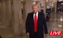 Donald Trump GIF - Donald Trump Shang GIFs