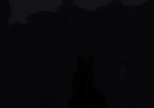 a man in a black coat is walking in the dark in the woods .