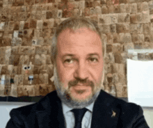 Claudio Borghi Aquilini Politica GIF