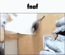 Fnaf Cat GIF - Fnaf Cat Jumpscare GIFs